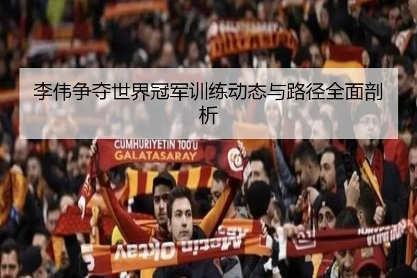 李伟争夺世界冠军训练动态与路径全面剖析